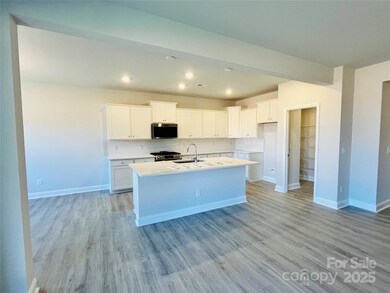 1014 Puddle Pond Rd, Indian Trail, NC 28079 - photo 2