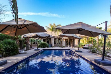 Pool Umbrellas