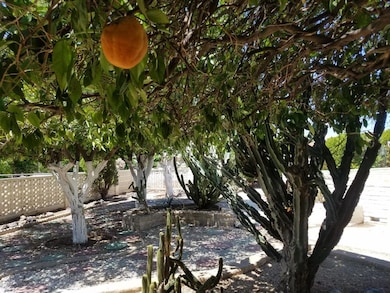 9605 W Campana Dr, Sun City, AZ 85351 - photo 5