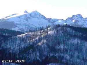 Nhn Upper Dickson Creek Rd, Conner, MT 59827 - photo 5