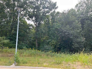 8154 Elda Ct, Dubuque, IA 52003 - photo 6