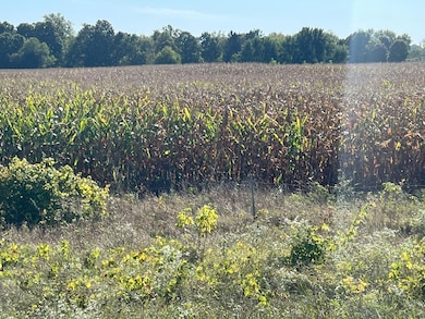 3509 E Lemon Creek Rd, Berrien Springs, MI 49103 - photo 6