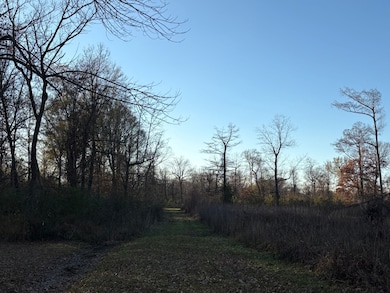 TBD Manatt Dr, Corning, AR 72422 - photo 3