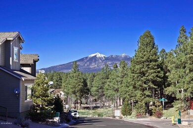 Pinnacle Pines Snowy Mountain