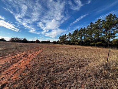 11925 Bryant Ln, Guthrie, OK 73044 - photo 4