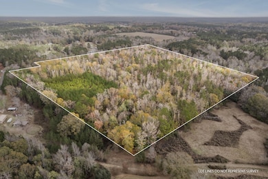 0 Phillips Rd, Sumrall, MS 39482 - photo 2