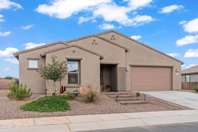 1350 E Pecan Meadow Ln, Sahuarita, AZ 85629 - photo 4