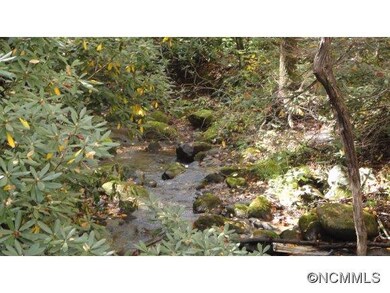Trout Stream !!