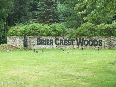 165 Maple Rd, Blakeslee, PA 18610 - photo 5