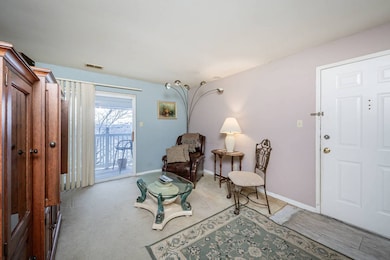 4334 Arrow Tree Dr unit I, Saint Louis, MO 63128 - photo 7