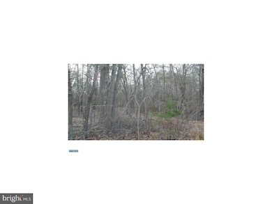 0 Quinton Marlboro Rd unit NJSA2007280, Bridgeton, NJ 08302 - photo 6