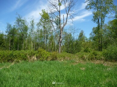 23919 4th Ave NW, Stanwood, WA 98292 - photo 2