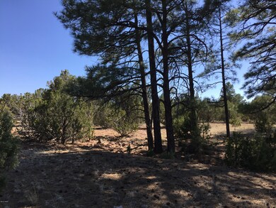 0 Linden unit 219720, Show Low, AZ 85901 - photo 4