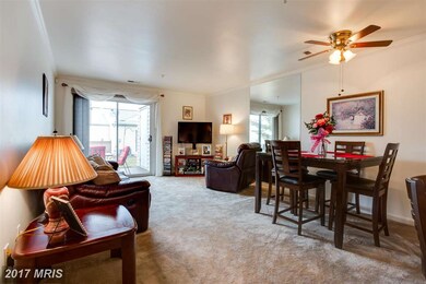 9252 Cherry Ln unit 10, Laurel, MD 20708 - photo 6