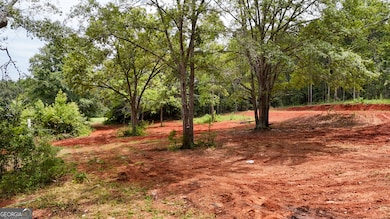 5911 Indian Trail, Thomaston, GA 30286 - photo 6