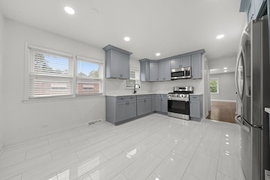 10537 Austin Ave unit 2, Chicago Ridge, IL 60415 - photo 7