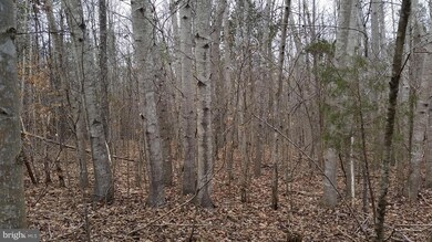 0 Vawter Corner Rd unit 1000545311, Louisa, VA 23093 - photo 7