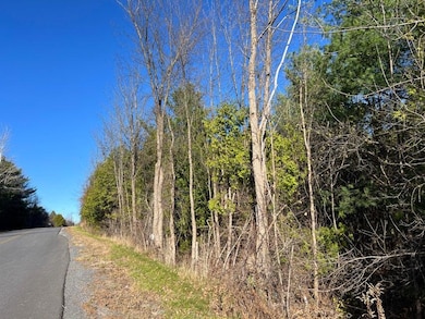 , Ketcham Bridge Rd, West Chazy, NY 12992 - photo 2