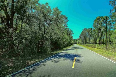 0 Bostic Pelt Rd unit 292682, Crawfordville, FL 32327 - photo 6