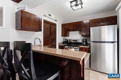 487 Three Ridges Condos, Wintergreen Resort, VA 22967 - photo 5