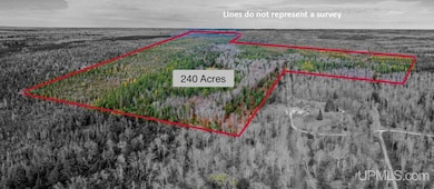 240 ACRES Long Lake Rd, Mathias Township, MI 49895 - photo 2