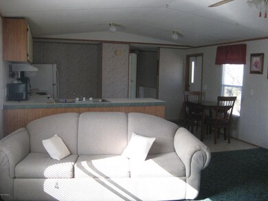 781 N Davidson Rd, Vail, AZ 85641 - photo 3