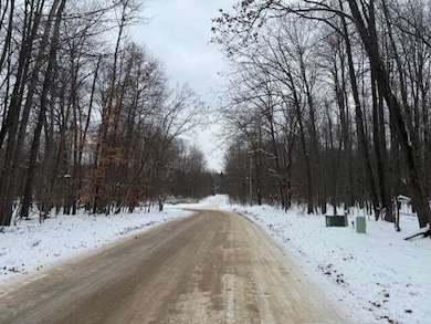 12066 Red Feather Ln, Canadian Lakes, MI 49346 - photo 3