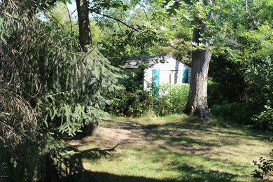 Storage Shed