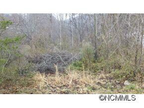 109 Mountain View Dr unit 12, Candler, NC 28715 - photo 3