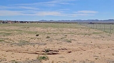 0 W Turkey Tract Rd unit 31261, Dolan Springs, AZ 86441 - photo 4