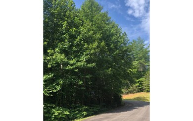 33/34 Maple Rest Ln, Ellijay, GA 30540 - photo 4