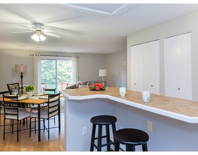 60 Hadley Village Rd unit 60, South Hadley, MA 01075 - photo 6