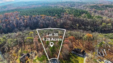 Drone / aerial view with a forest view