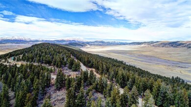 Drone / aerial view of a mountain backdrop and a forest