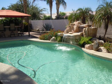 Backyard Paradise