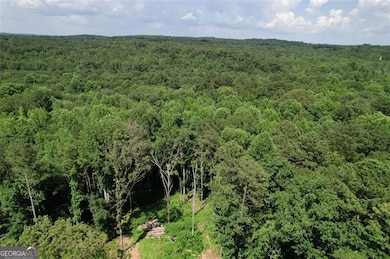 300 Speight Rd, Temple, GA 30179 - photo 5