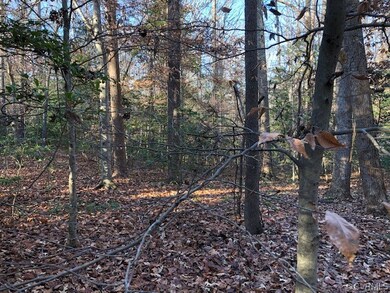 0 New Kent Hwy unit 2203199, New Kent, VA 23141 - photo 2