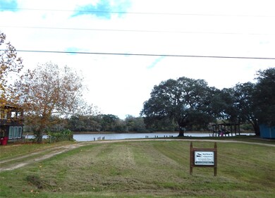 0 Noveno Dr, Brazoria, TX 77422 - photo 5