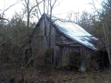 165 Wolfe Hollow, Rutledge, TN 37861 - photo 5