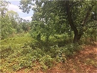 27541 Carraway Ln, Magnolia, TX 77354 - photo 2