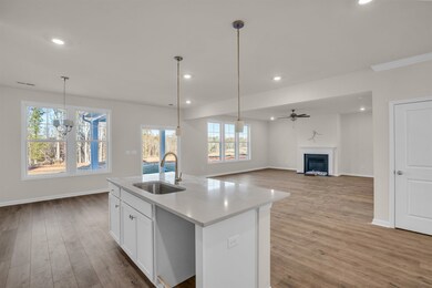 155 Hunter Ridge Dr, Boiling Springs, SC 29316 - photo 5