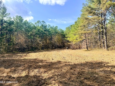 0 Laws Hill Rd unit 4133415, Holly Springs, MS 38635 - photo 7