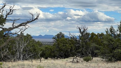 0 Squaw Pass unit 24661344, Quemado, NM 87829 - photo 2