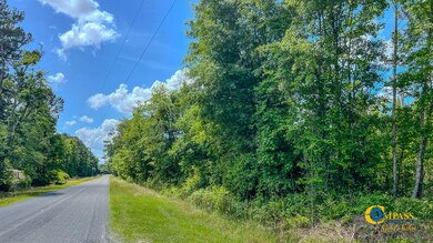 Red Root Drive-2