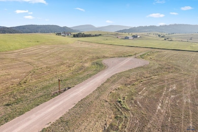 Lot 10 Block 3 Pleasant Valley Rd, Southwest Meade, SD 57785 - photo 5