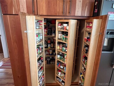 Look at this Pantry - all organized with sections