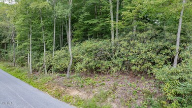 Tbd Azen Rd, Damascus, VA 24236 - photo 6