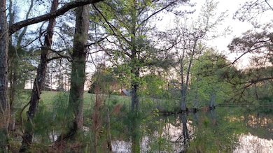 0 Cannady Mill Rd, Franklinton, NC 27525 - photo 6