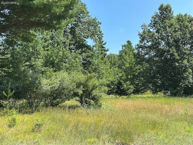 77 E Starlight Ridge Cir, Onekama Township, MI 49675 - photo 2