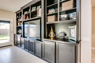Built-In Entertainment Center